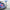 blue car with RAD RACKS CLUB bike rack on vehicle hitch mount
