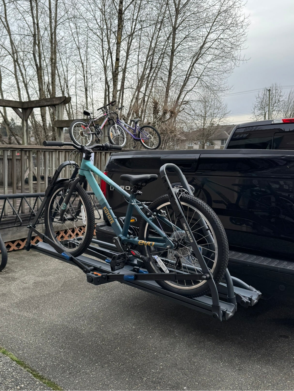 Bicycle on a bike rack attached to a black SUV with leafless trees in the background. Kids bike on tray rack. 20" inch wheels.