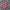 RRC Sticker Pack - S.T.B.