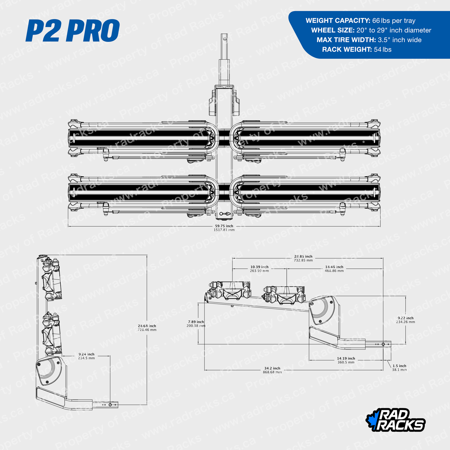 P2 Pro
